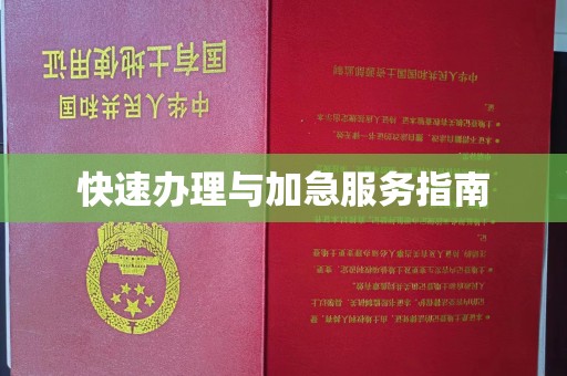 双辽快速办理与加急服务指南