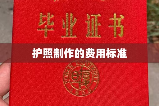 新龙护照制作的费用标准