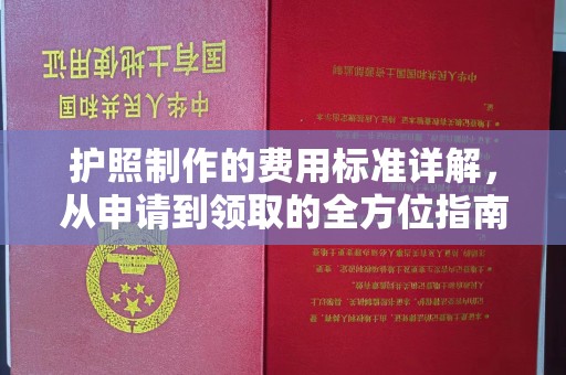 昂昂溪护照制作的费用标准详解，从申请到领取的全方位指南