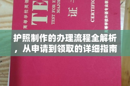 桃源护照制作的办理流程全解析，从申请到领取的详细指南